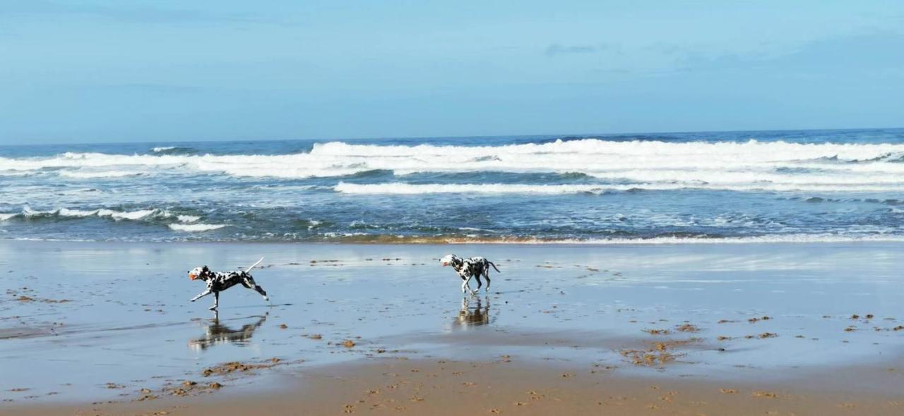 Mega Ocean Magoito - Sintra Villa ภายนอก รูปภาพ